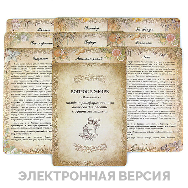 Электронная + аудио моно