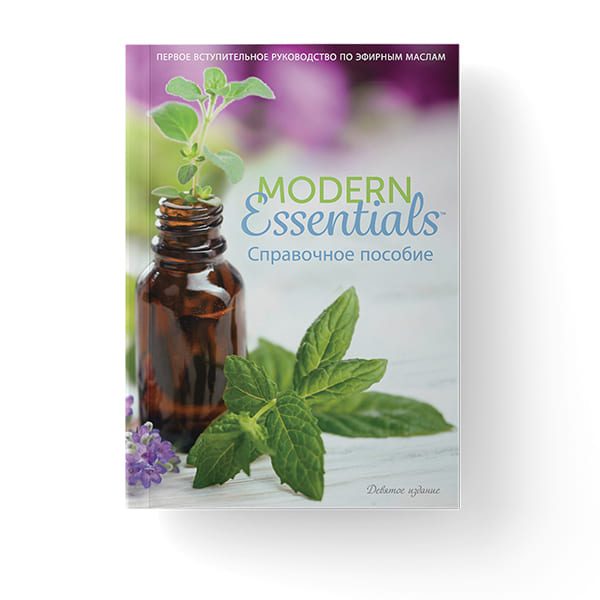 Modern Essentials - cправочное пособие