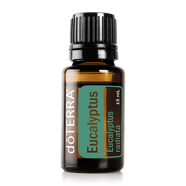  Eucalyptus / Эвкалипт 15 мл doTERRA