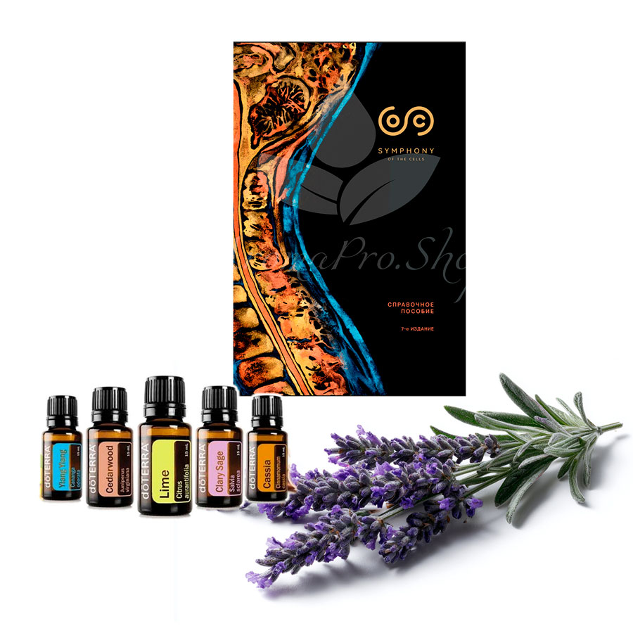 3 ресурса необходимых вам для поддержания здоровья и улучшения качества жизни с помощью эфирных масел, 